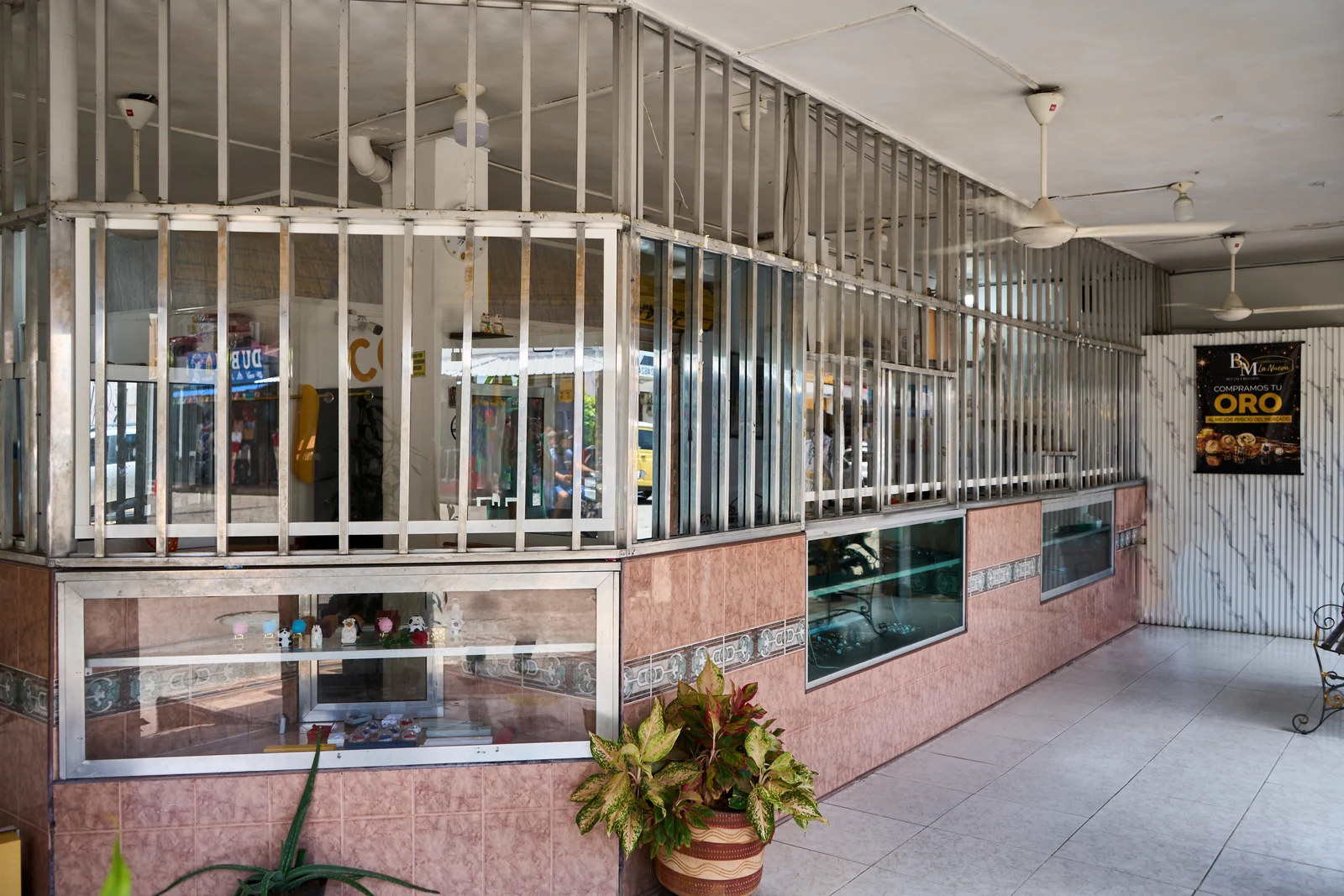Fotografía 2 de Compraventa La Nueva