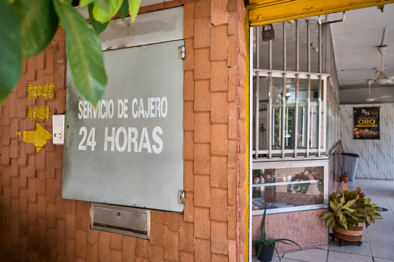 Fotografía 8 de Compraventa La Nueva