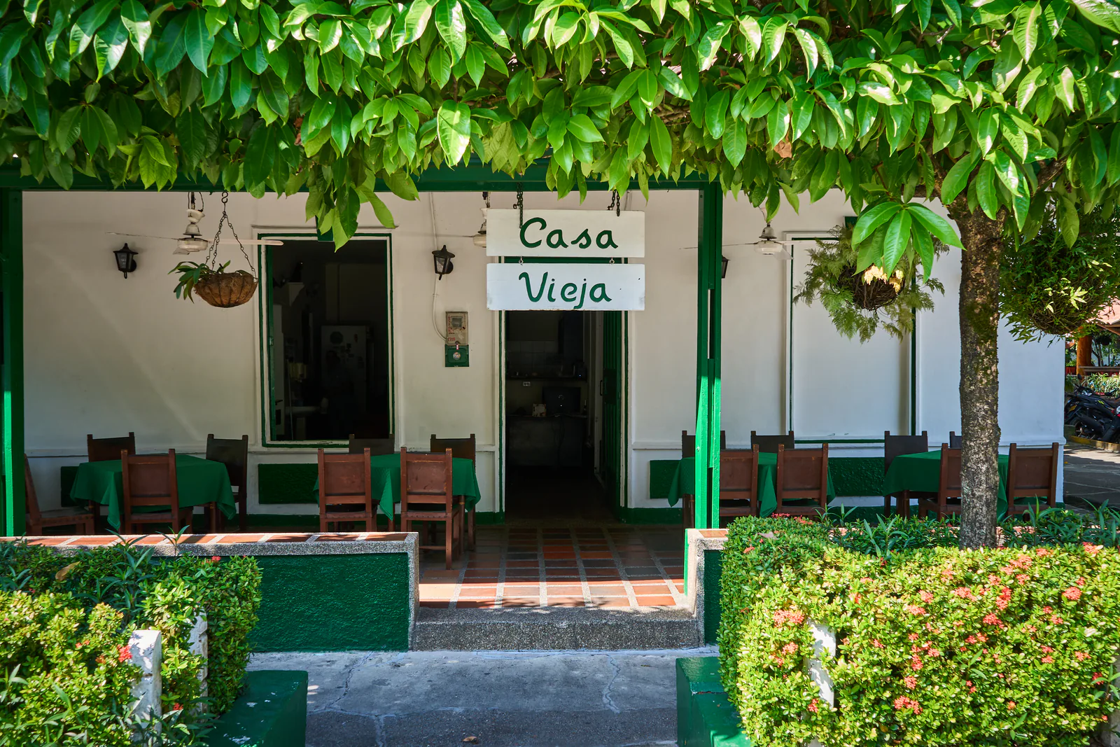 Fotografía 1 de Casa Vieja